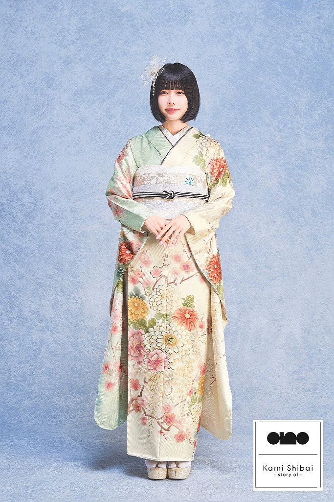 410y1〇小石丸 創喜庵謹製 袋帯 貝紫 金糸 桐 菊〇美品