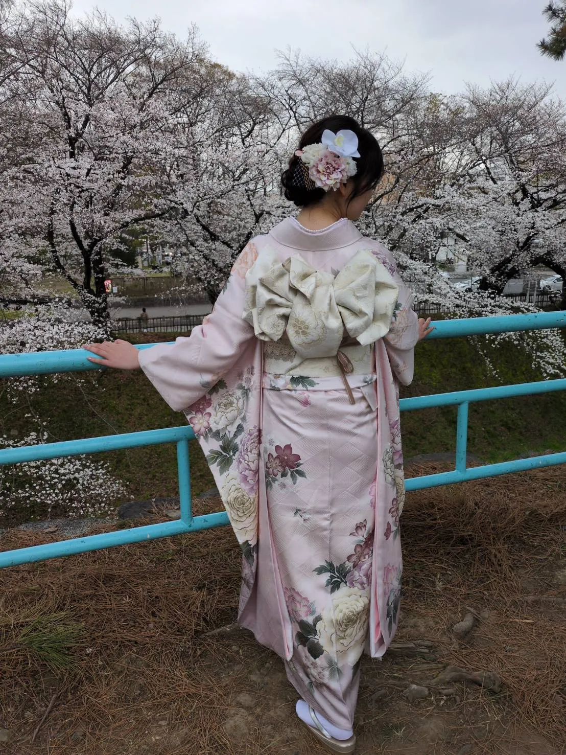 桜咲く名古屋城で素敵な写真を撮っていただきました。