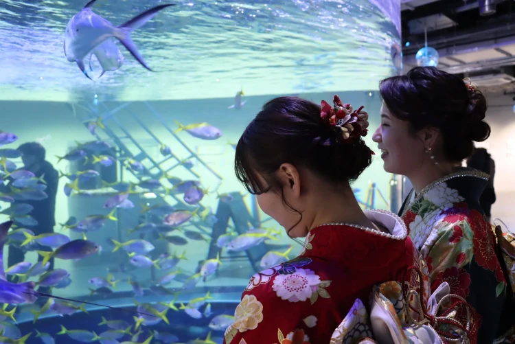 成人式振袖ネットレンタル　フリソデドール　撮影　前撮り　水族館